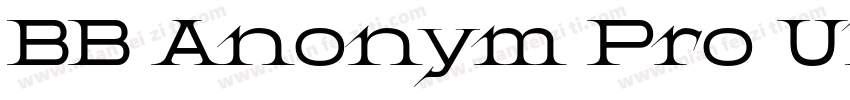 BB Anonym Pro Ultra字体转换
